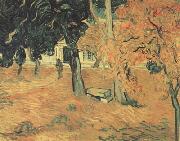 Vincent Van Gogh The Garden of Saint-Paul Hospital (nn04) oil on canvas